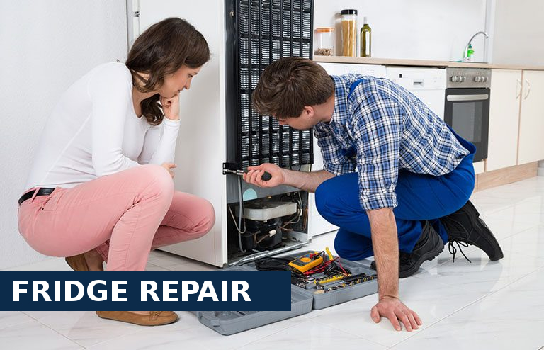 Fridge Repair Bellingham